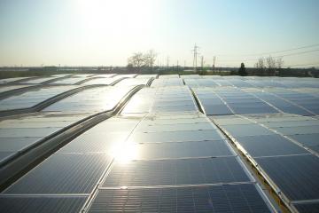 BERGEL 325 Kwp